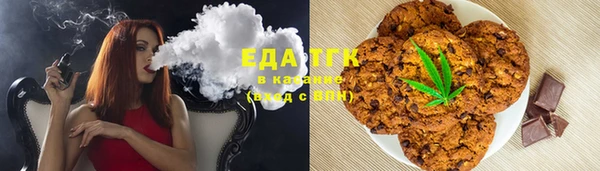 тгк Алзамай