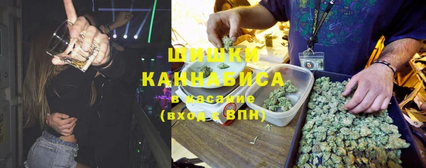 индика Арсеньев