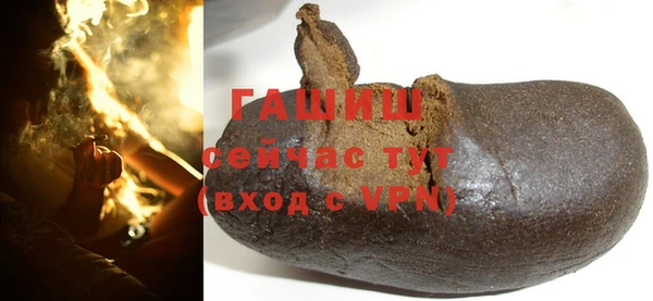 индика Арсеньев